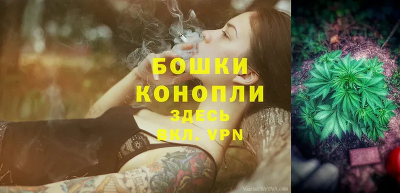 Бошки Шишки Ganja  купить закладку  Цоци-Юрт 